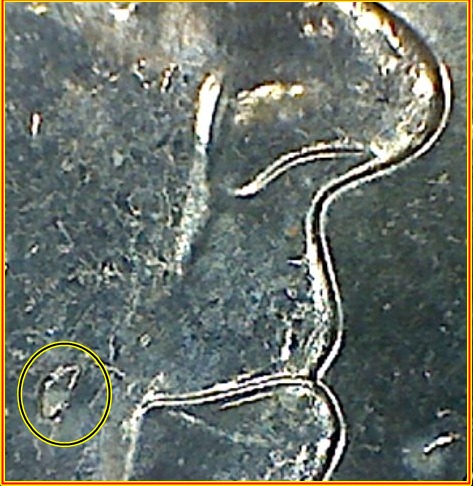Cuds-On-2011-International-Women's-Day-20-Cent-Piece
