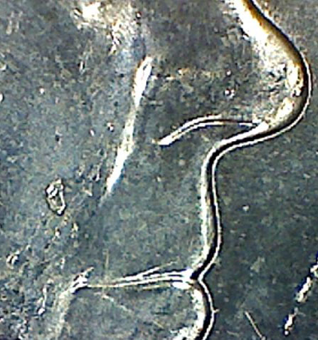 Cuds-On-2011-International-Women's-Day-20-Cent-Piece