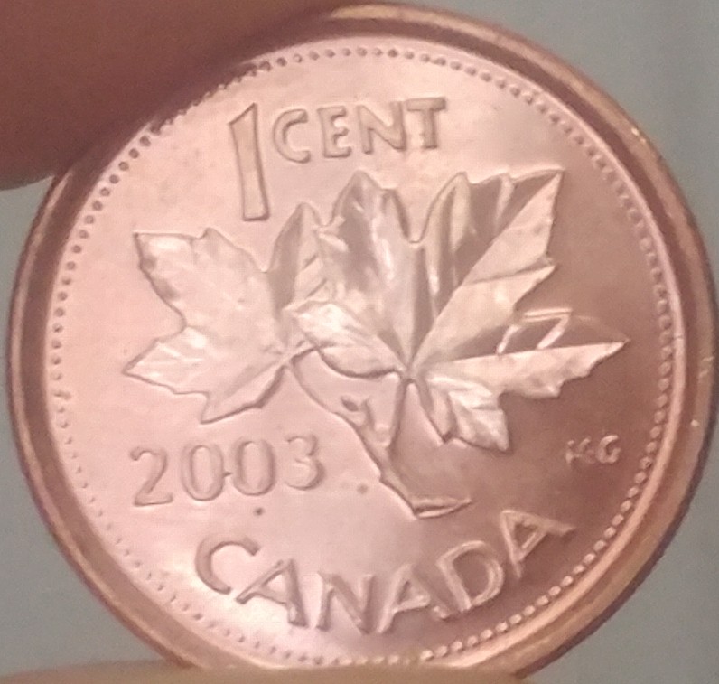 2003-Canadian-Cents-Looking-For-Possible-Grading