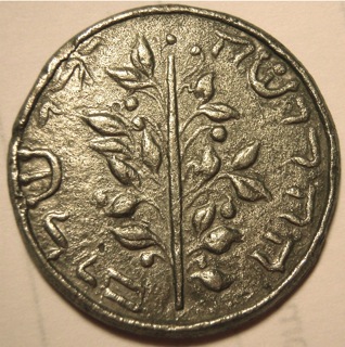 Can-Anyone-Identify-These-Please
