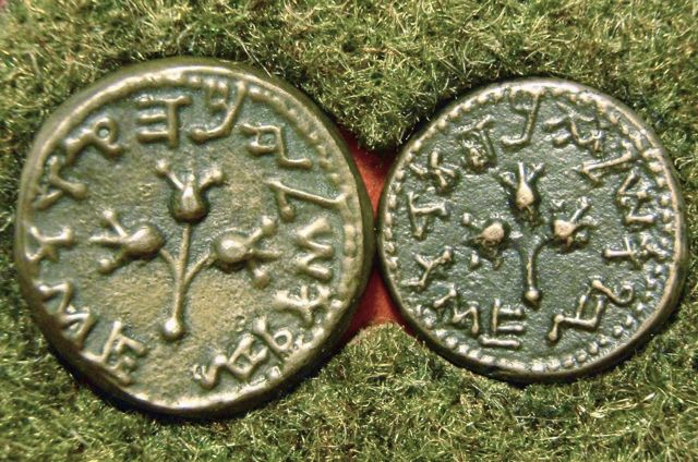 Can-Anyone-Identify-These-Please