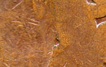 Is-A-Dot-Like-This-One-Common---One-More-Try-At-The-Scan