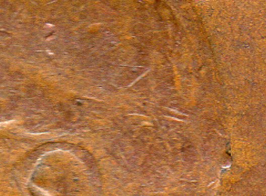Is-A-Dot-Like-This-One-Common---One-More-Try-At-The-Scan