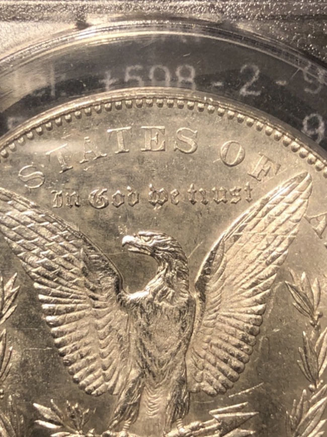 1878-S-Morgan-Vam-19A---What's-The-Grade?