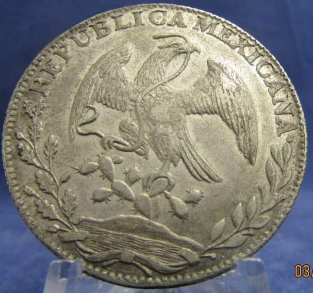 1844-Go-Pm-8-Reales---Counterfeit-Or-Real?