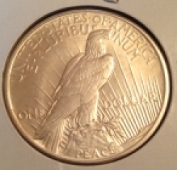 1921-Peace-Dollar---First-Non-Slabbed-Purchase!!