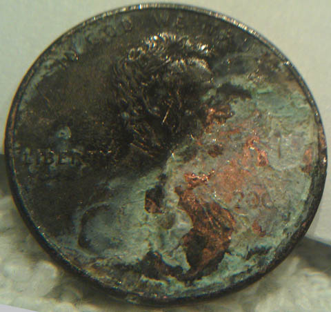 Categorizing-Coins---Are-Collectors-Nuts?