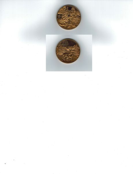 Can-Anyone-Identify-This-Coin?