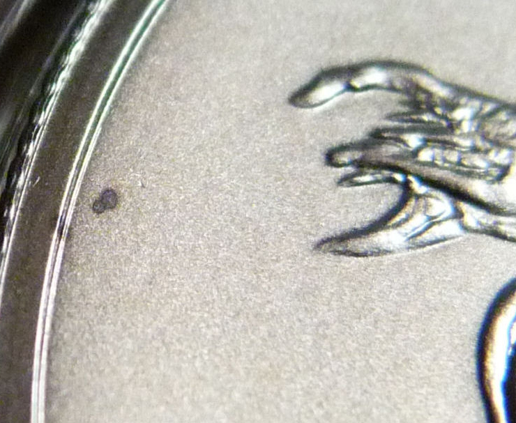 2021-Peace-Dollar-Defects/Damage-Found