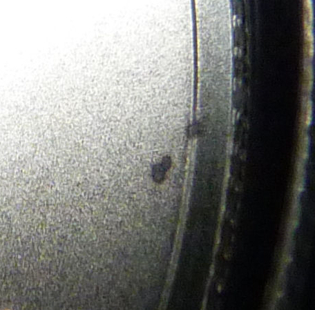 2021-Peace-Dollar-Defects/Damage-Found