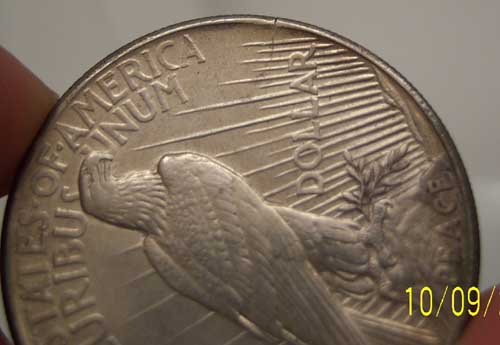1921-P-Peace-Crack...now-With-Pictures...real-Or-Not?