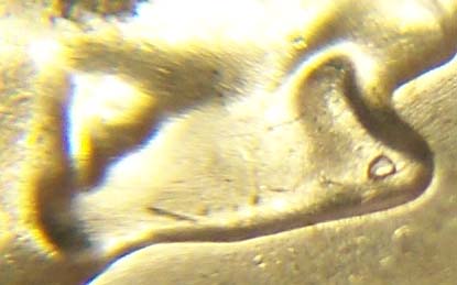 1964-D-Quarter-Nose-Wart!-8x-+-Macro