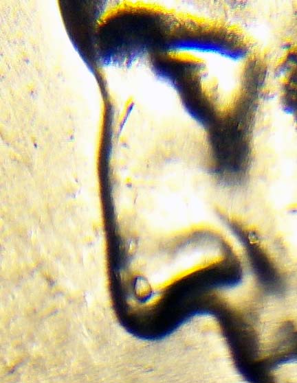 1964-D-Quarter-Nose-Wart!-8x-+-Macro