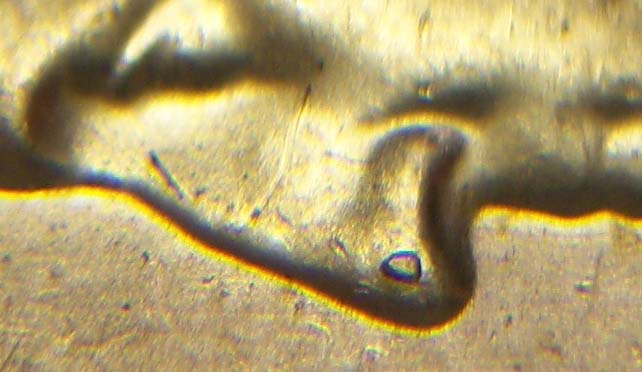 1964-D-Quarter-Nose-Wart!-8x-+-Macro