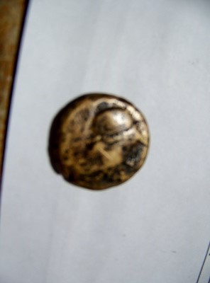 I-Need-Help-With--Coins-Please-Id:-Apameia-In-Phrygia-133Bc