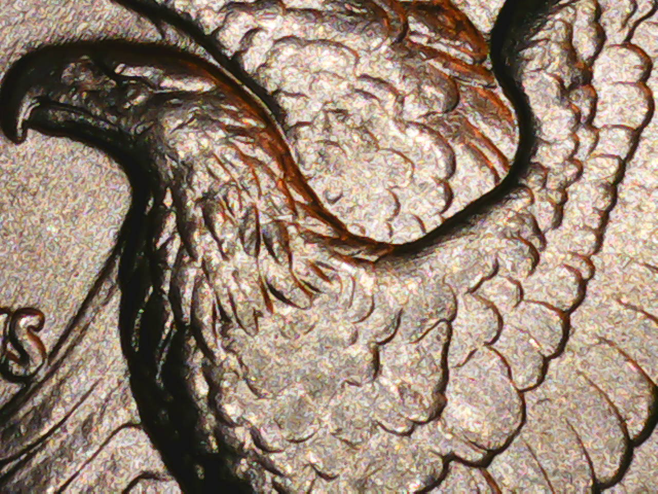 1936-D-Walking-Liberty-With-Smashed-Face,-Oak-And-Laurels