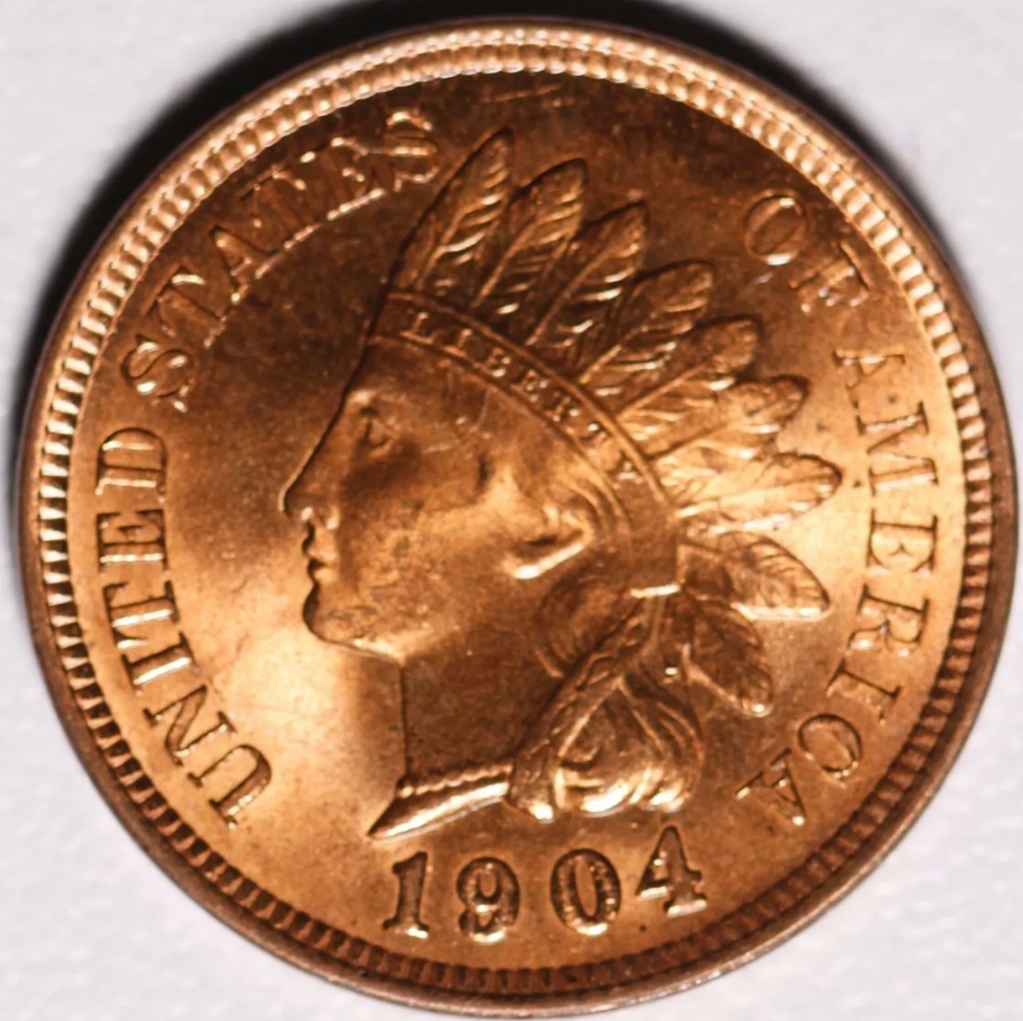 1904-Indian-Head-,-What-Do-You-Think?