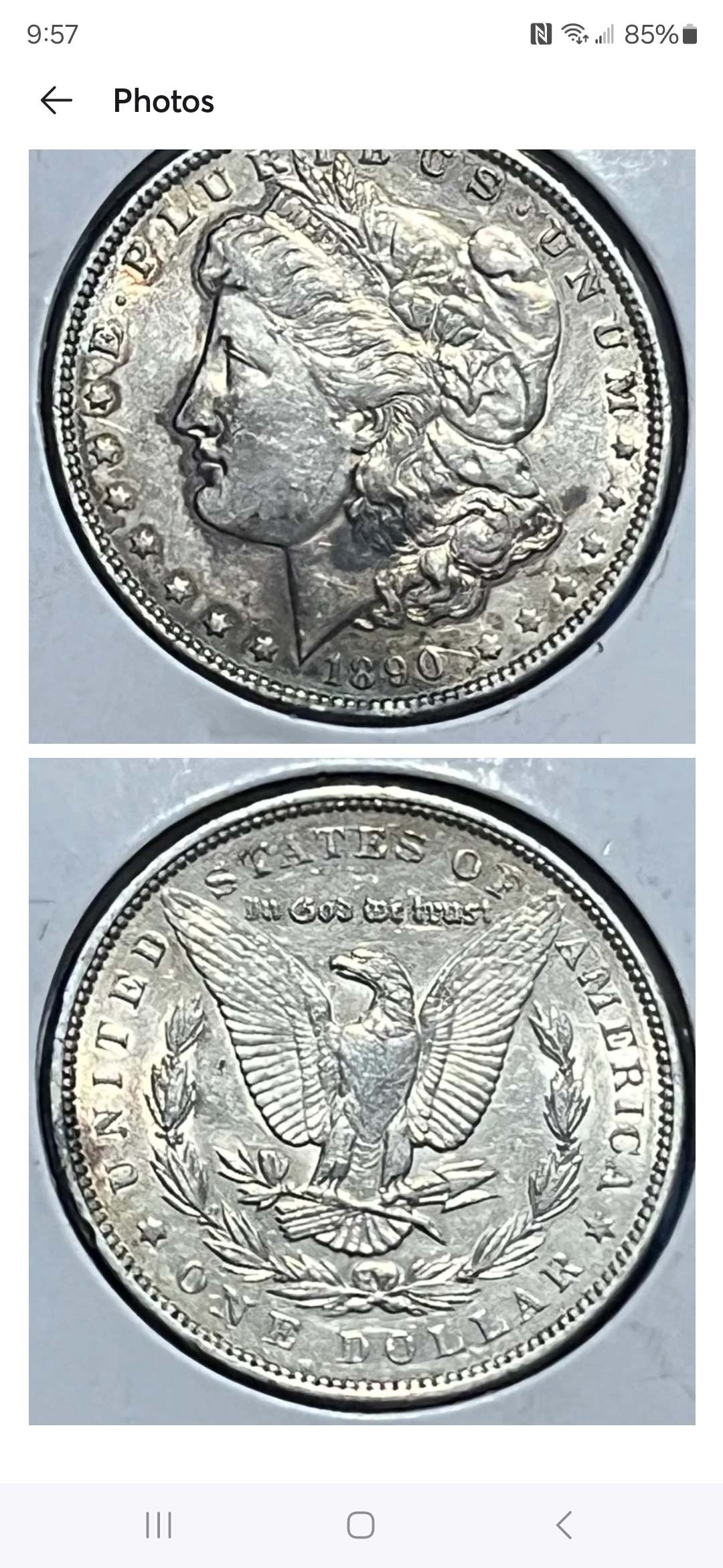 Newbie-Needing-Help-To-See-If-These-Morgan's-Maybe-Fake-Before-Buying-Them