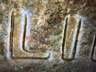 2000-S-Penny-Double-Die-REV-Wide-A-M