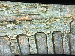 1999-Penny-What-Type-Error-Is-This?-Need-Help