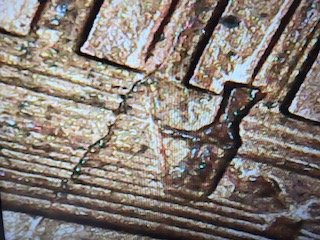 1994-Penny-Crack-On-The-Back-Of-It-Is-This-Error?