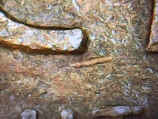 1935-One-Cent-Error-Or-Damage?