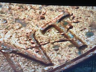 1983-D-Penny-Please-Help-How-Did-This-Happen?