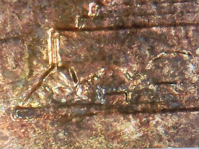 1998-One-Cent-Error-Or-Damage-Need-Help.