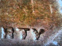 1949-S-One-Cent-Extra-Line-Die
