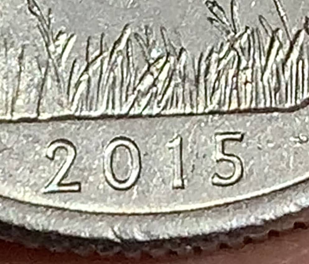 New-Error-2015-P-Quarter?