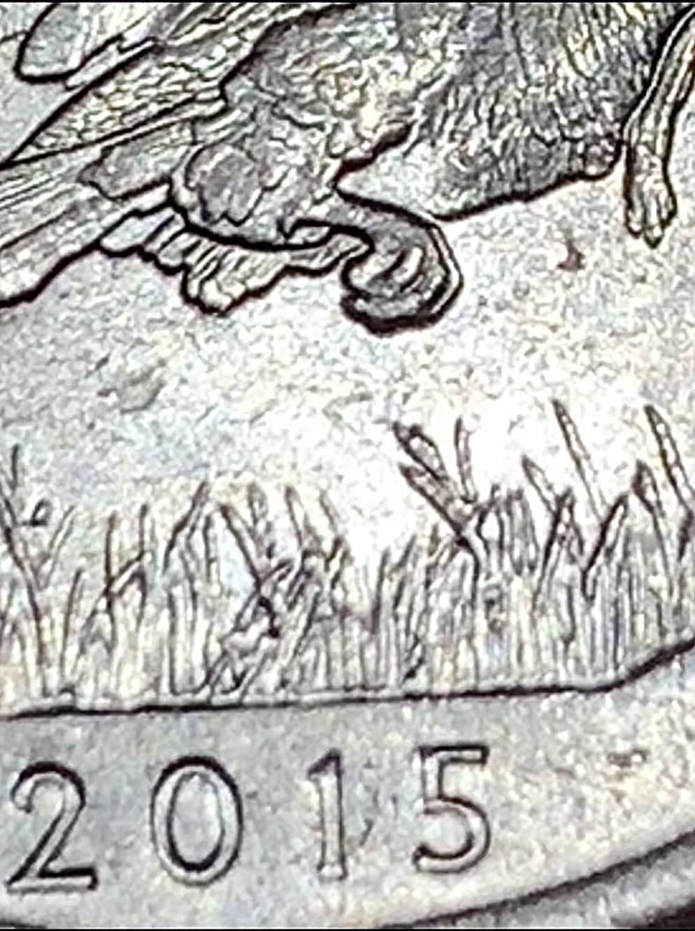 New-Error-2015-P-Quarter?