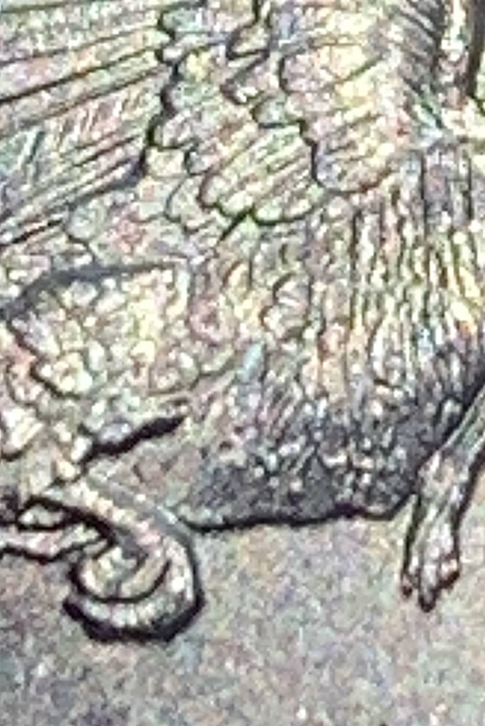 New-Error-2015-P-Quarter?