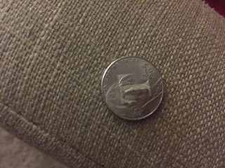 Newer-Nickel-With-A-T?