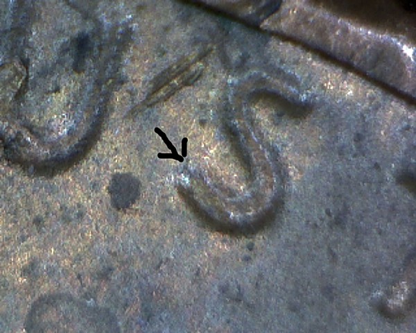 1985-P-DDO-Cent