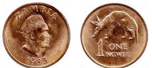 Coinstar-Finds!-Including-Bank-Counters-And-Other-Machines
