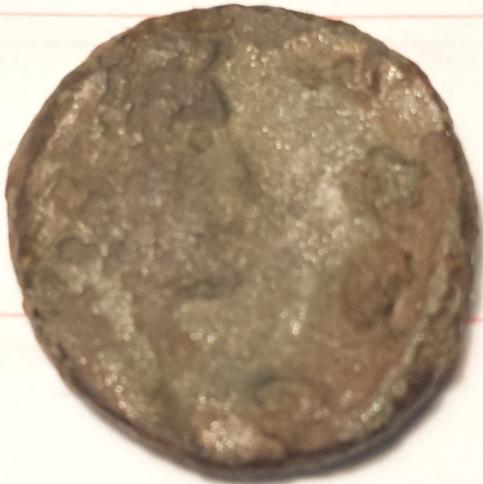 Need-Help-Identifying