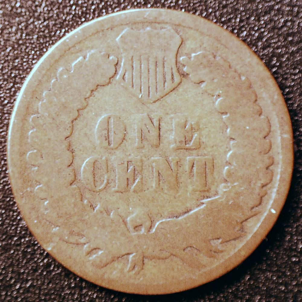 1877-Indian-Herad-Cent,-Or-Another-Date?