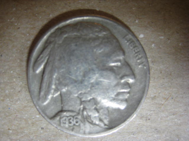 Search-Update-.....-Buffalo-#8-Found-Tonight