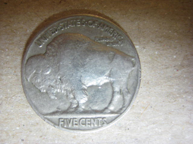 Search-Update-.....-Buffalo-#8-Found-Tonight