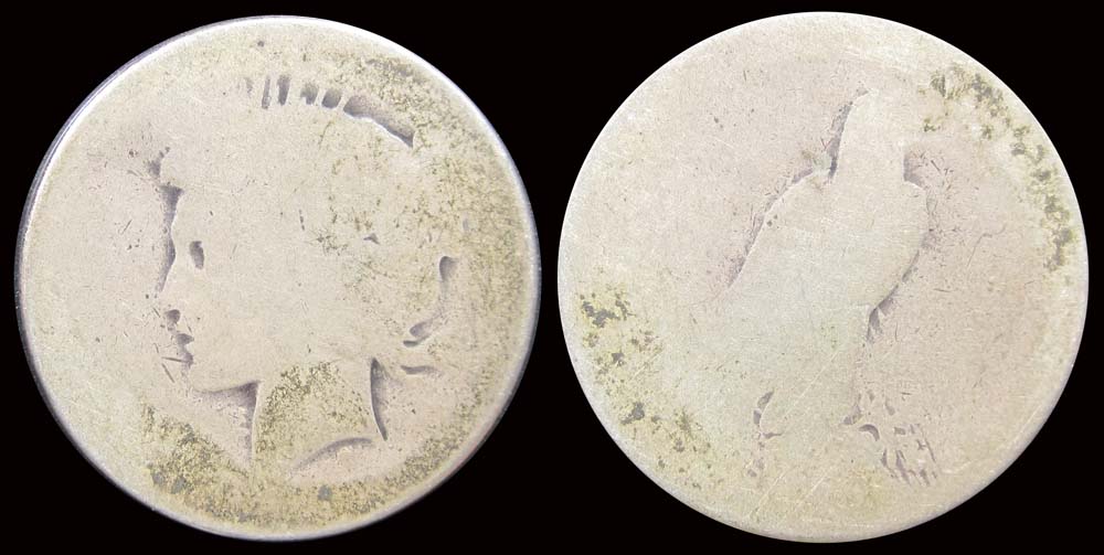 No-Date-Peace-Dollar-...-1921-Diagnostics?