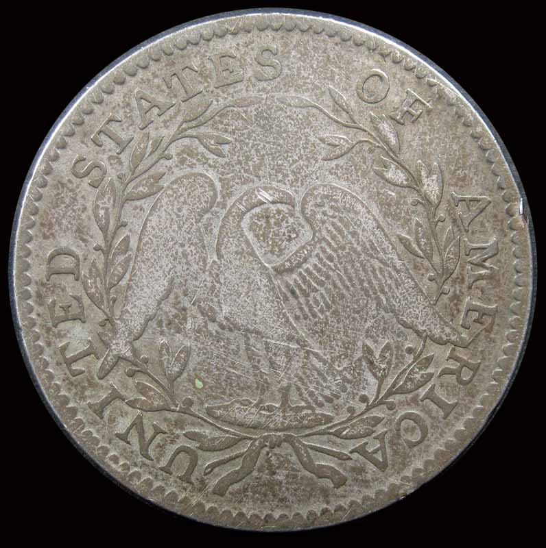 Opinions---1795-Flowing-Hair-Half-Dollar