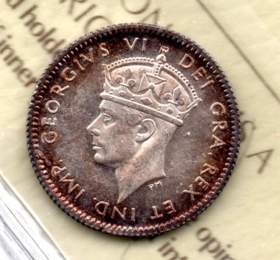 Pretty-Newf-5-Cents