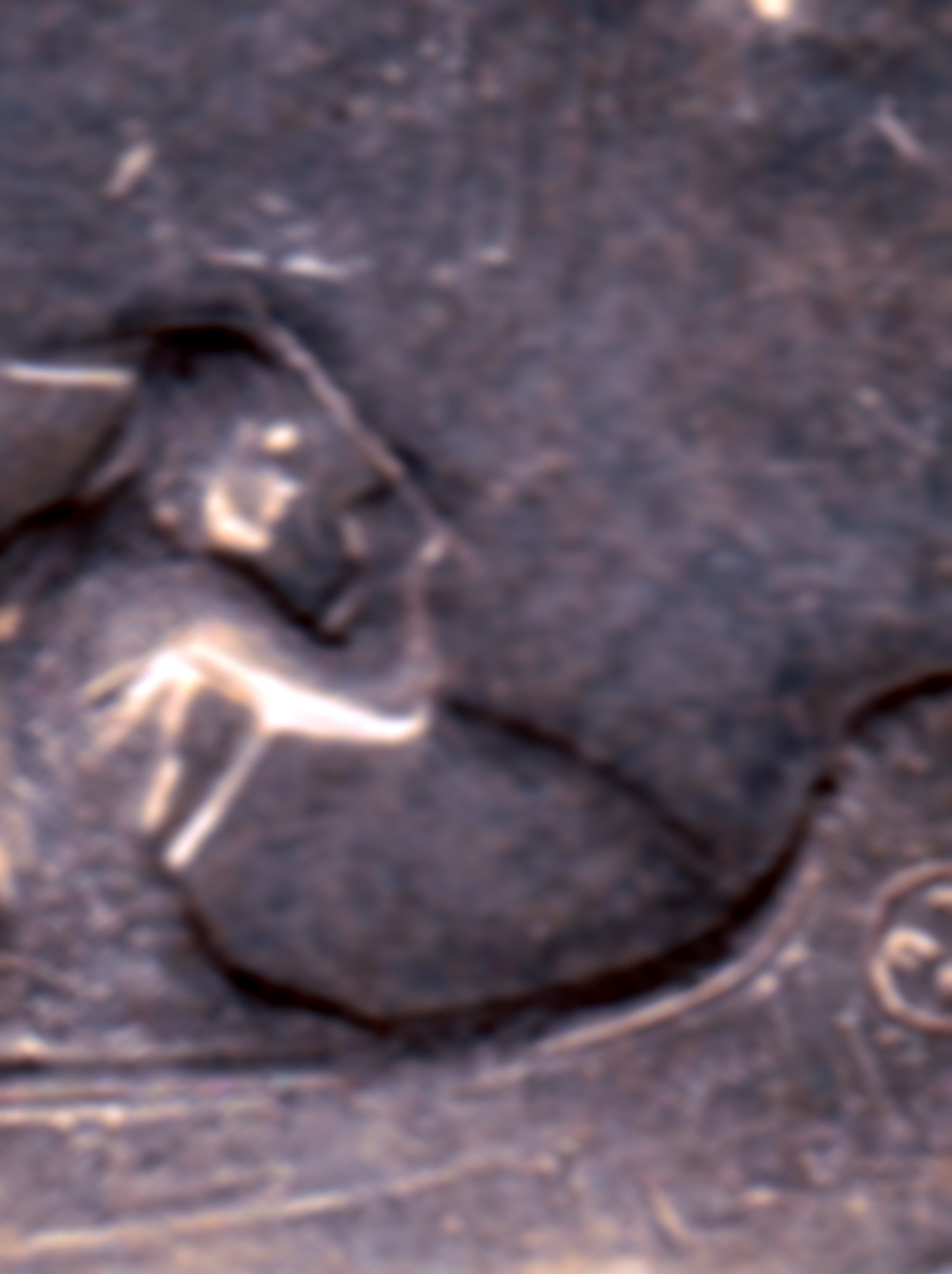 1952-Dollar-Nwl-Rev.-Die-Breaks-Kinda-Cool.