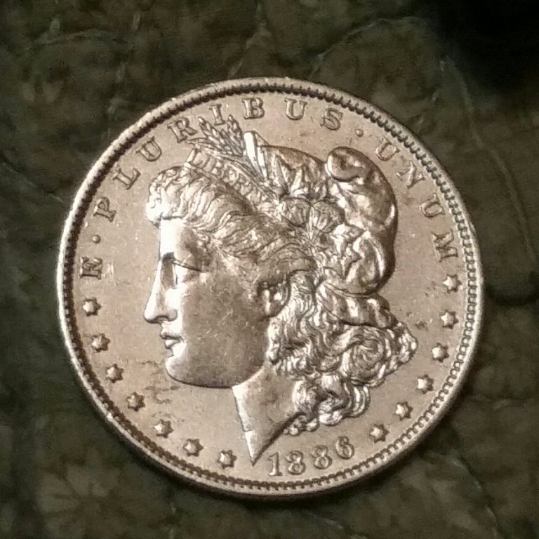 Is-It-Cleaned-Or-Uncleaned-Morgan?