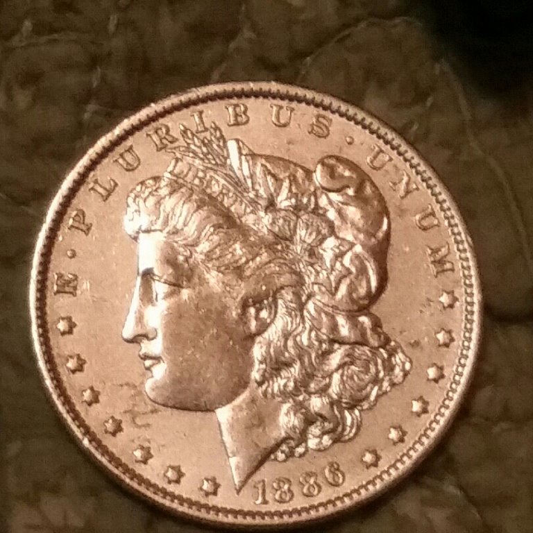 Is-It-Cleaned-Or-Uncleaned-Morgan?