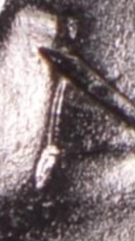 1886-O-Morgan-Double-Die/Error?