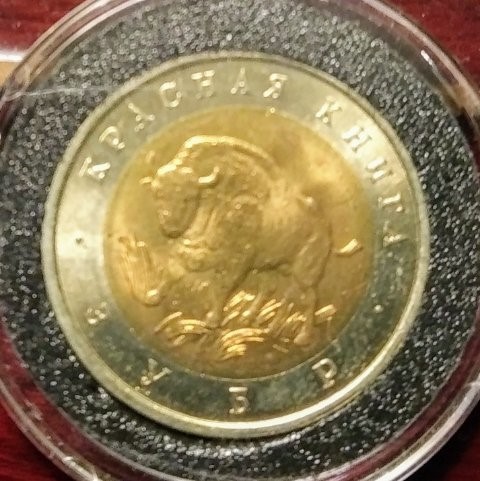 Polish-Or-Maybe-Russian?-ID-Needed