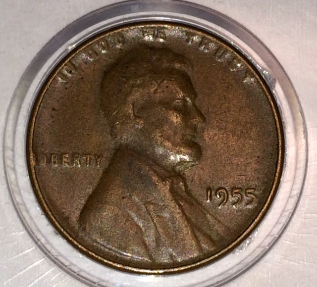 I-Recently-Found-This-Roll-Hunting-1955/55-Cent?