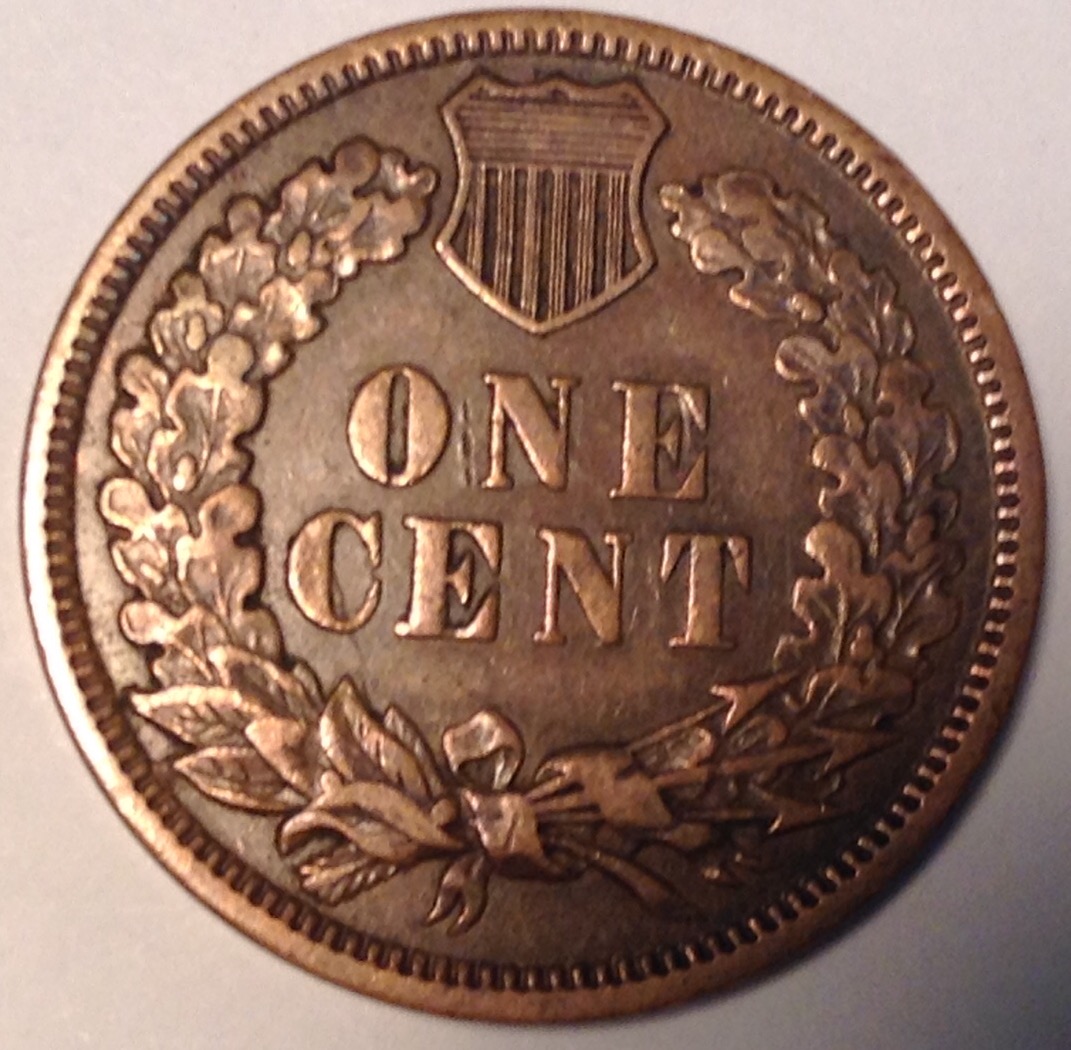 1880-Indian-Head-1c-Help-Grade-Please!