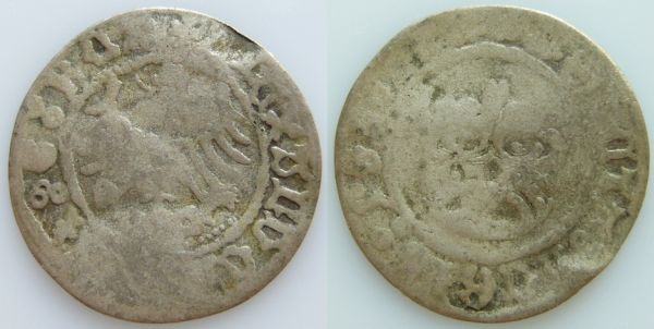 My-Silver-Hammered-Lot